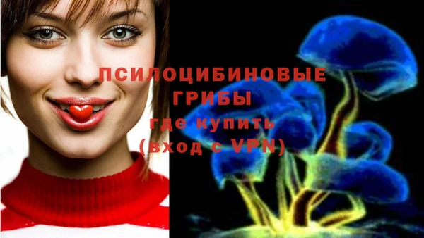 индика Покровск