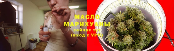 индика Покровск