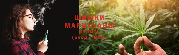 индика Покровск