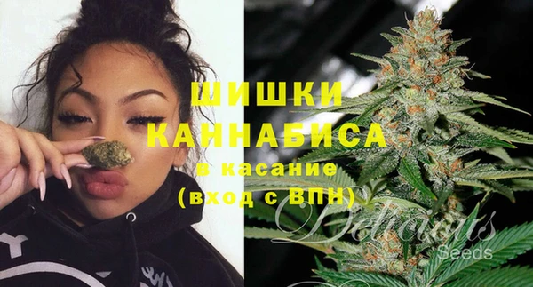 индика Покровск