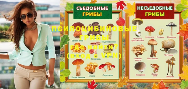 индика Покровск