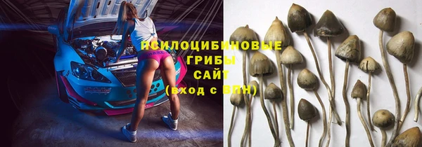 a pvp Покачи